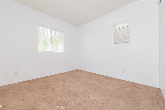 carpeted spare room with baseboards and ornamental molding