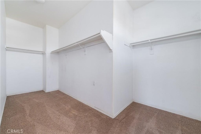 spacious closet with carpet flooring
