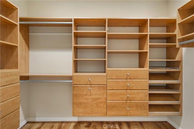 spacious closet featuring wood finished floors