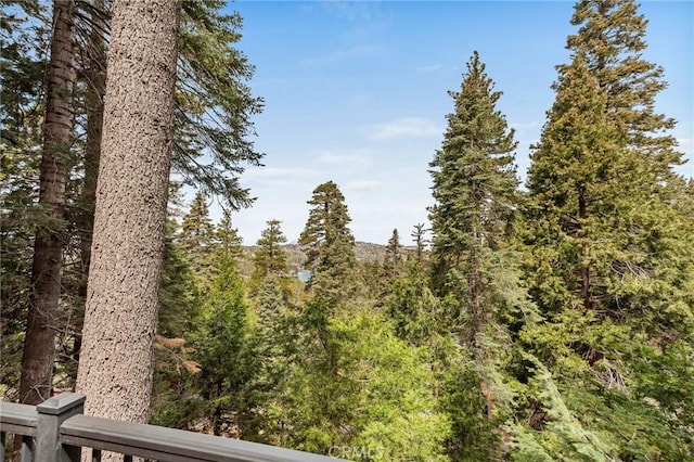 view of nature featuring a wooded view
