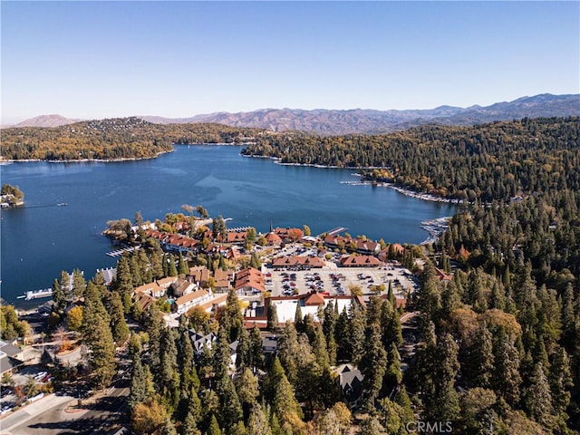 aerial view featuring a wooded view and a water and mountain view