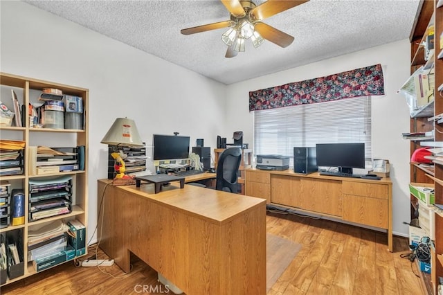 office area with ceiling fan, light wood-style floors, and a textured ceiling