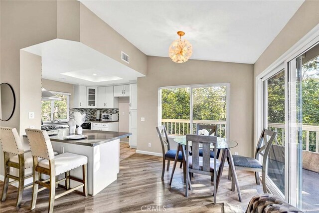 kitchen featuring glass insert cabinets, a wealth of natural light, white cabinetry, and light wood-style flooring