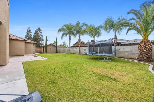 view of yard featuring a trampoline, a patio, a fenced backyard, an outbuilding, and a storage unit