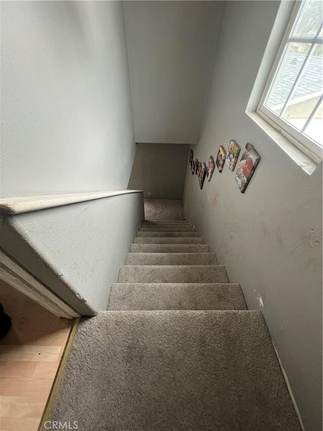 664 W 14th St, San Bernardino, CA 92405 - staircase featuring carpet flooring