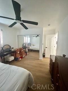 bedroom featuring ceiling fan, multiple windows, and wood finished floors
