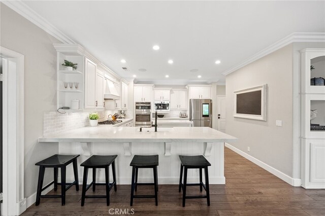 kitchen featuring a peninsula, light countertops, tasteful backsplash, custom range hood, and appliances with stainless steel finishes