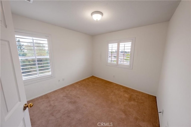 empty room featuring carpet floors