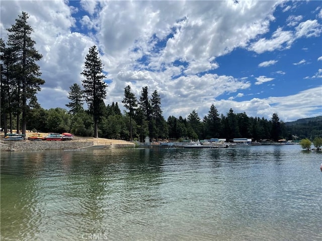 water view with a wooded view