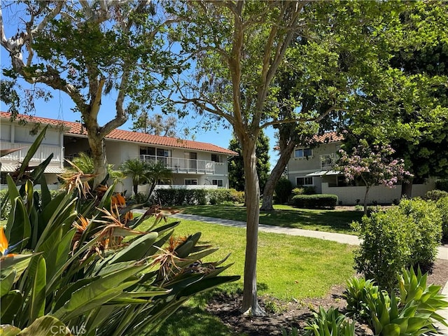 661 Avenida Sevilla Unit O, Laguna Woods, CA 92637 - view of green lawn