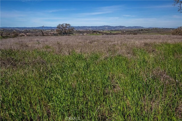 930 Windwood Rd, Paso Robles, CA 93446 - photo 31