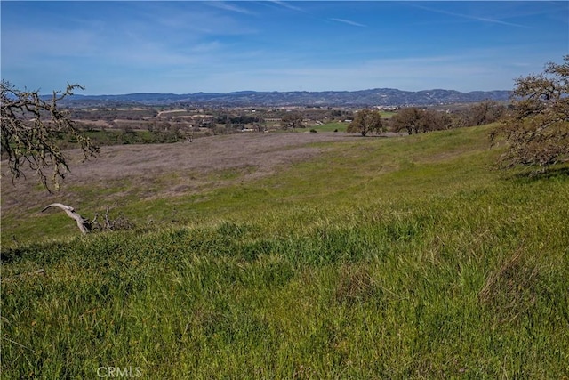 930 Windwood Rd, Paso Robles, CA 93446 - photo 18