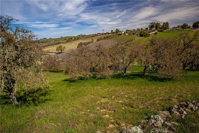 930 Windwood Rd, Paso Robles, CA 93446 - photo 42
