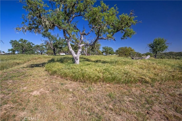 930 Windwood Rd, Paso Robles, CA 93446 - photo 66