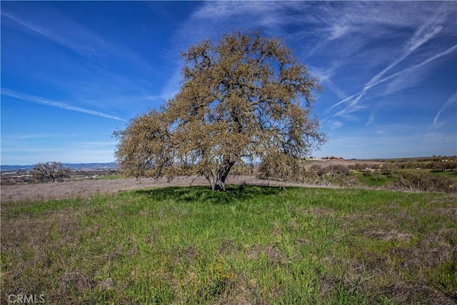 930 Windwood Rd, Paso Robles, CA 93446 - photo 30