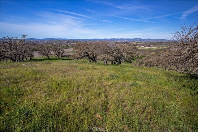 930 Windwood Rd, Paso Robles, CA 93446 - photo 27