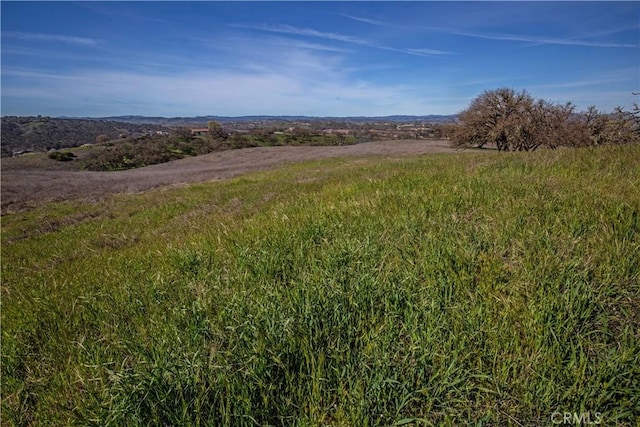 930 Windwood Rd, Paso Robles, CA 93446 - photo 29