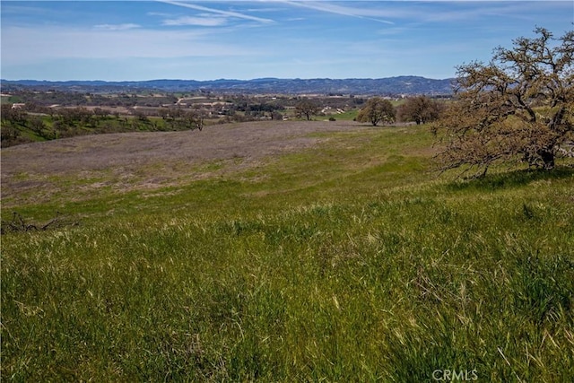 930 Windwood Rd, Paso Robles, CA 93446 - photo 40