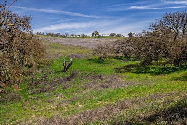 930 Windwood Rd, Paso Robles, CA 93446 - photo 33