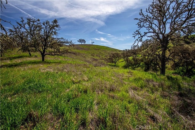 930 Windwood Rd, Paso Robles, CA 93446 - photo 36