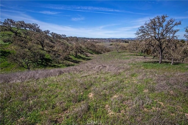 930 Windwood Rd, Paso Robles, CA 93446 - photo 35