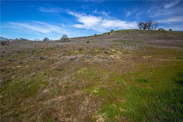 930 Windwood Rd, Paso Robles, CA 93446 - photo 38