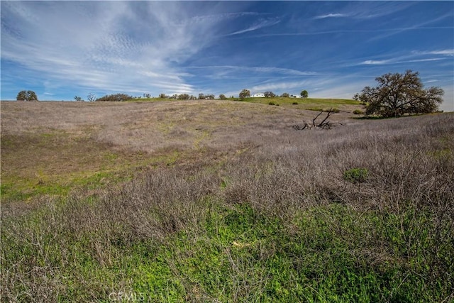 930 Windwood Rd, Paso Robles, CA 93446 - photo 32