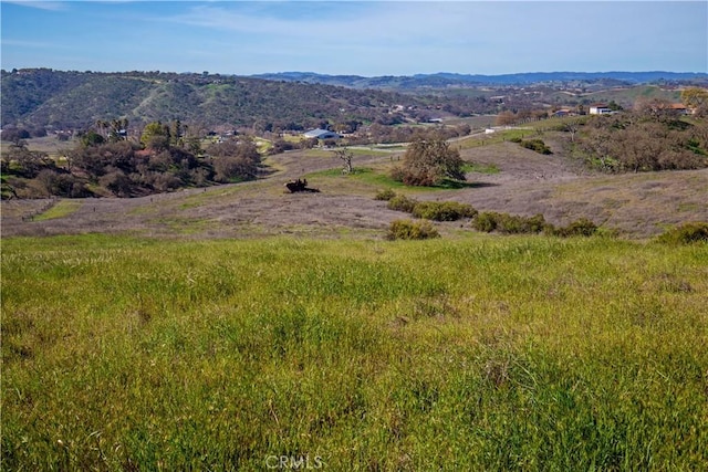 930 Windwood Rd, Paso Robles, CA 93446 - photo 19