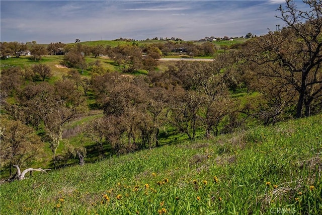 930 Windwood Rd, Paso Robles, CA 93446 - photo 34