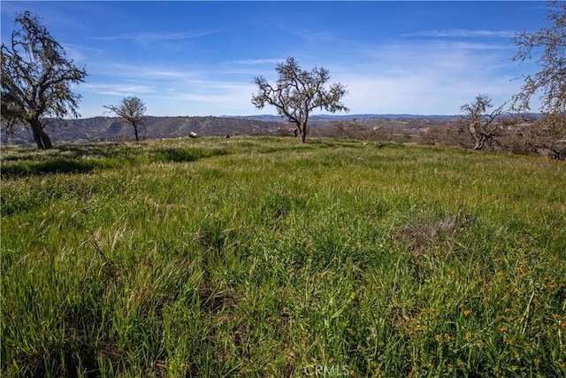 930 Windwood Rd, Paso Robles, CA 93446 - photo 26