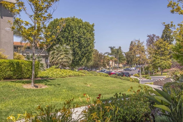 2399 Via Mariposa W Unit 2E, Laguna Woods, CA 92637 - view of community featuring a lawn