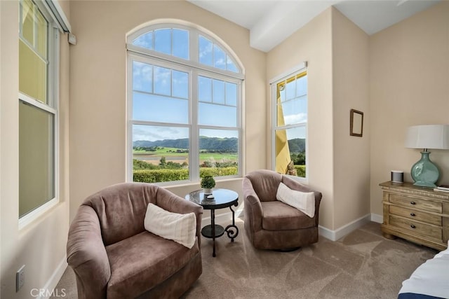 162 Valley View Pl, Arroyo Grande, CA 93420 - sitting room with plenty of natural light and carpet floors