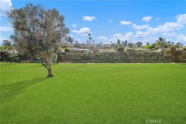 view of community featuring a lawn
