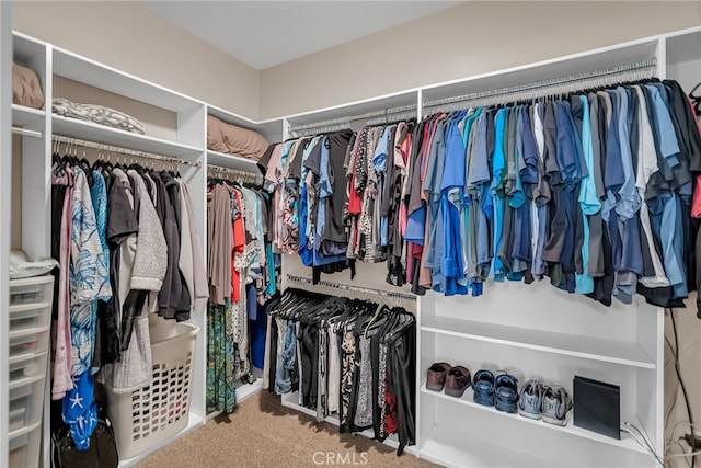 spacious closet with carpet floors