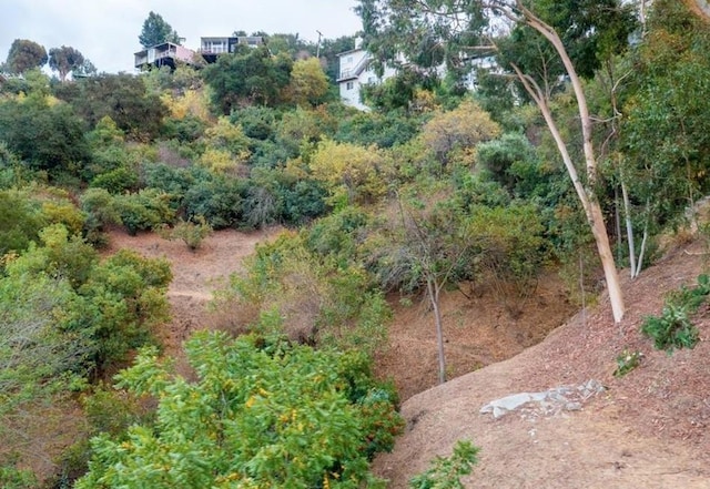 3544 Multiview Dr, Studio City, CA 90068 - photo 11