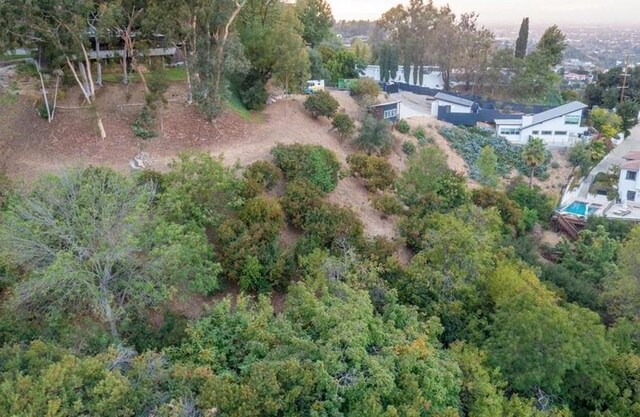 3544 Multiview Dr, Studio City, CA 90068 - photo 10