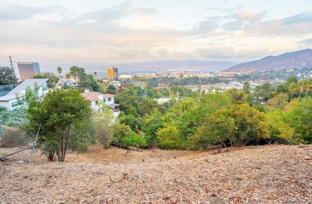 3544 Multiview Dr, Studio City, CA 90068 - photo 3