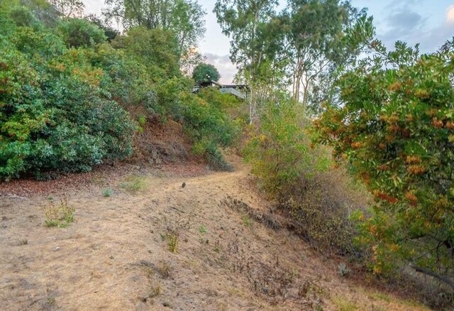 3544 Multiview Dr, Studio City, CA 90068 - photo 6