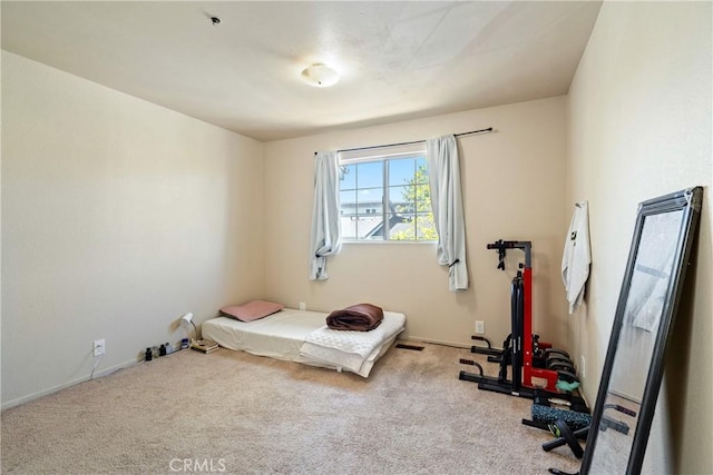 bedroom featuring carpet
