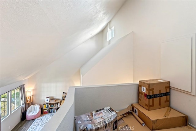 interior space featuring vaulted ceiling, wood finished floors, a wealth of natural light, and a textured ceiling