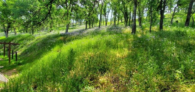 16937 Stagecoach Rd, Corning, CA 96021 - view of landscape