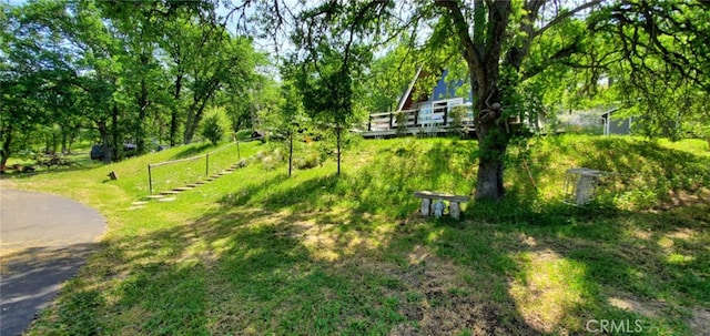 16937 Stagecoach Rd, Corning, CA 96021 - view of property's community