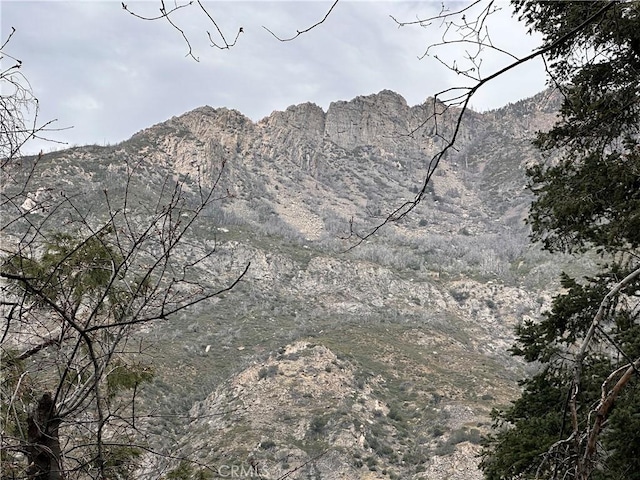 39500 Canyon Dr, Forest Falls, CA 92339 - property view of mountains