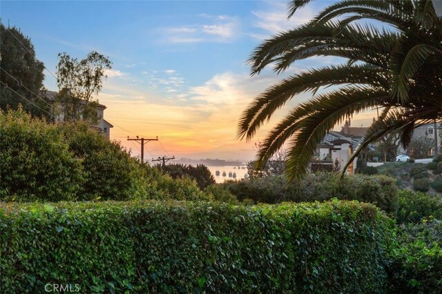 2516 Bayside Dr, Corona Del Mar, CA 92625 - view of local wilderness