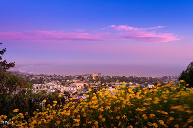 2101 Fox Den Ct, Oxnard, CA 93036 - nature at dusk featuring a city view