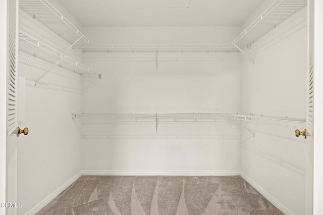 2101 Fox Den Ct, Oxnard, CA 93036 - walk in closet with carpet flooring