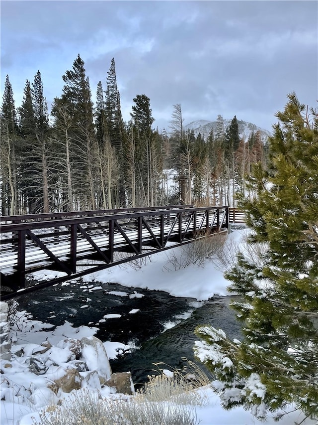 24 Tyrol Ln Unit 103, Mammoth Lakes, CA 95346 - view of dock area
