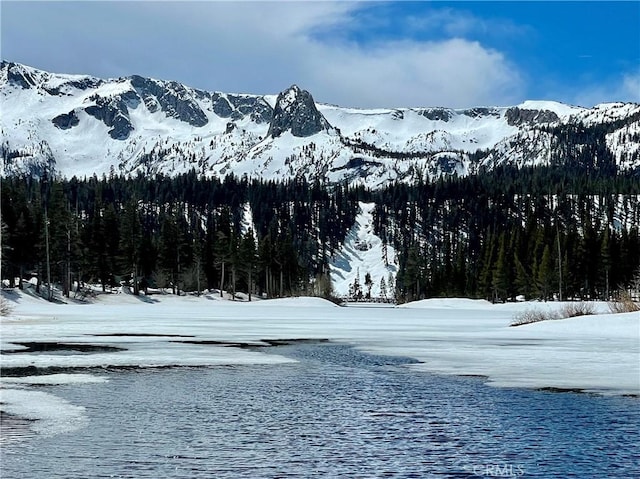 24 Tyrol Ln Unit 103, Mammoth Lakes, CA 95346 - view of mountain backdrop featuring a forest