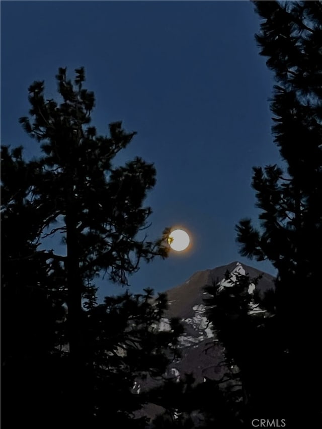 24 Tyrol Ln Unit 103, Mammoth Lakes, CA 95346 - view of local wilderness