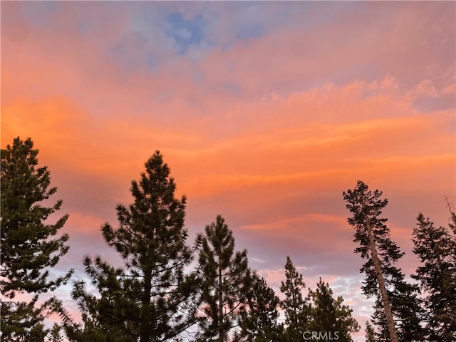 24 Tyrol Ln Unit 103, Mammoth Lakes, CA 95346 - view of nature at dusk